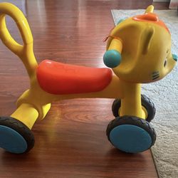 Cat Ride Along