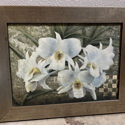 Orchid Flower Print