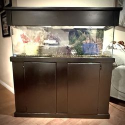 55 Gal Aquarium With Stand 
