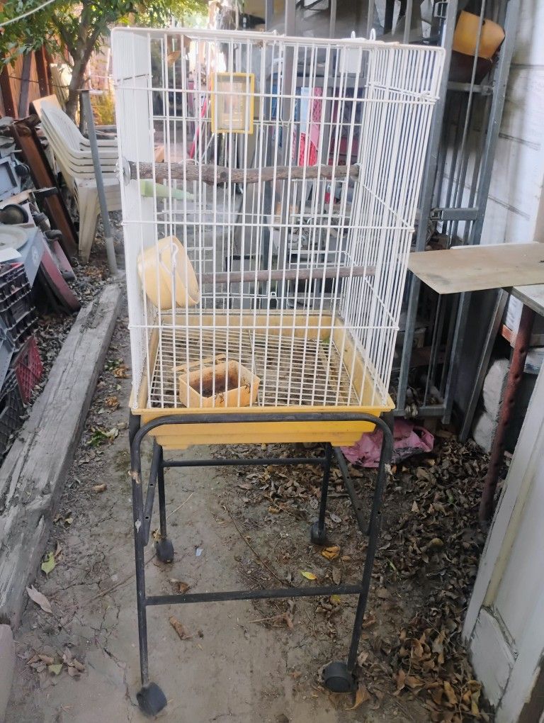 Bird Cage