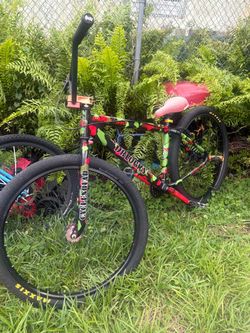 SE bike big ripper 29in