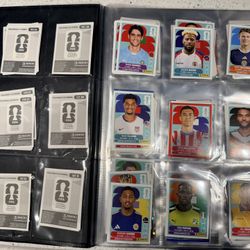 Panini World Cup Stickers 