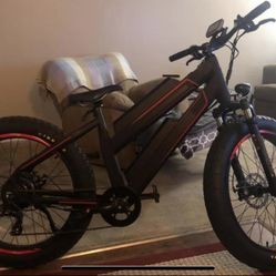 Electric Bike