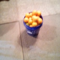 Sweet Orange 8 Dollar Bucket 