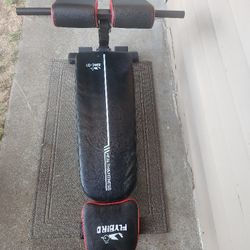 FLYBIRD Multifunction Adjustable Roman Bench