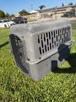 Large plastic pet carrier. 🐾