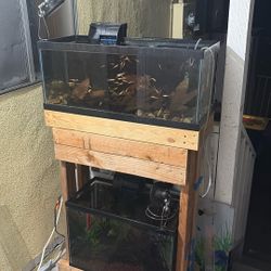 20 Gallon Long & 20 Gallon High 