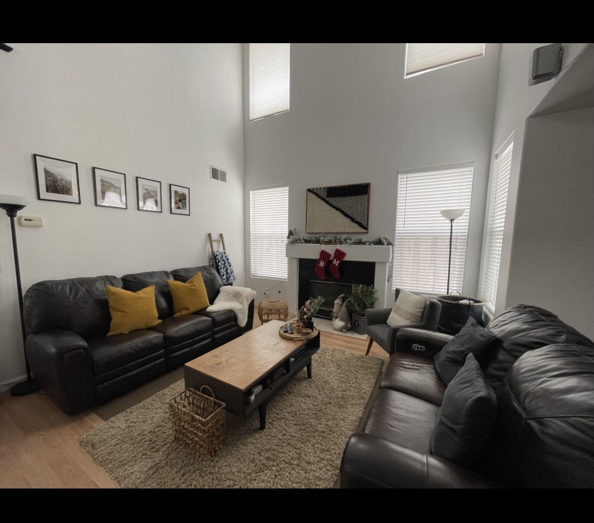 Loveseat & Sofa