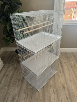 Bird Cages