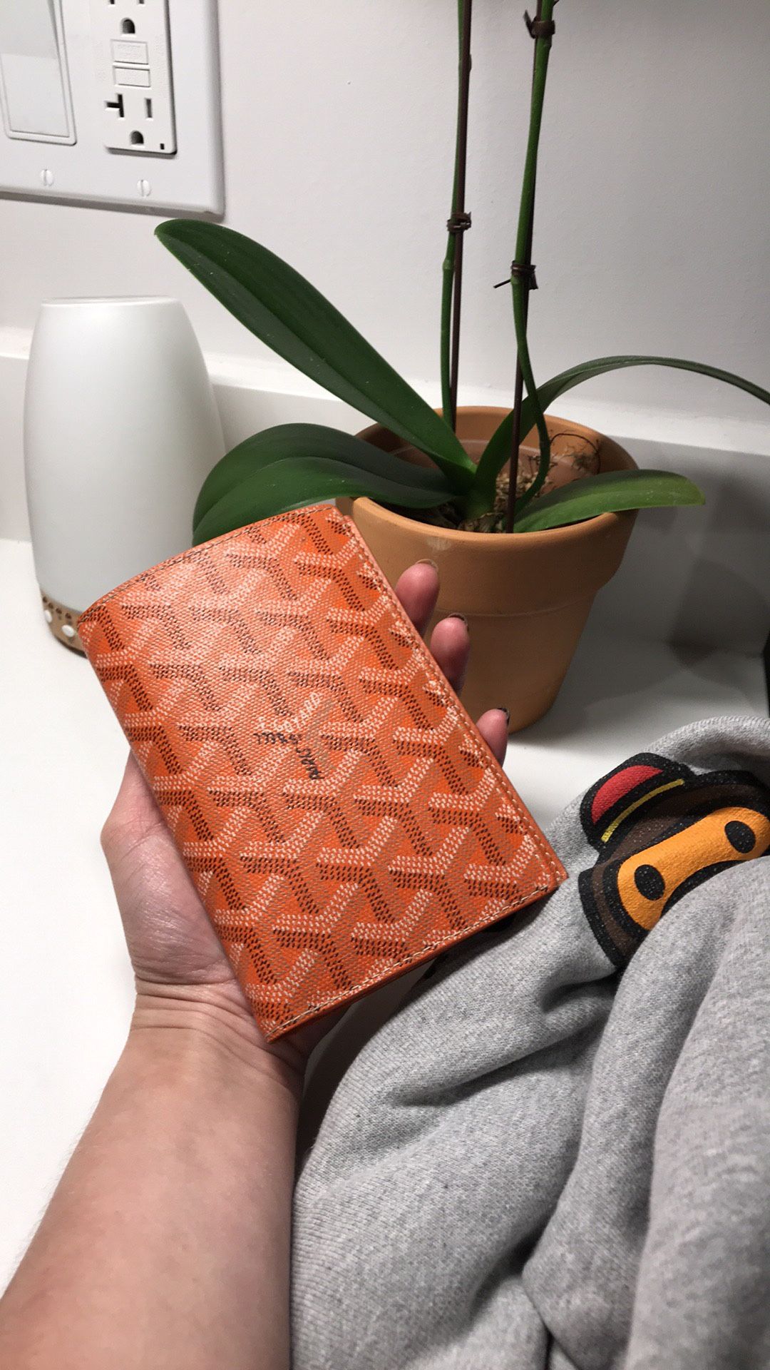 Goyard Passport + Card Holder