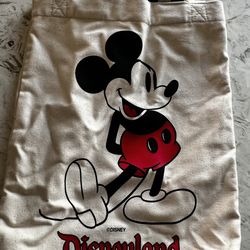 Disney Mickey Mouse bag