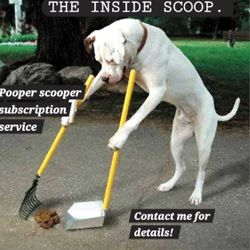 Pooper Scooper subscription Service 