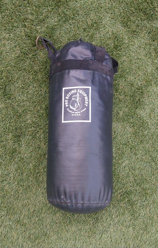 Youth Punching Bag