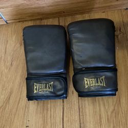 Everlast Boxing Gloves