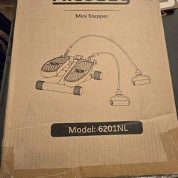 Niceday Mini  Stepper