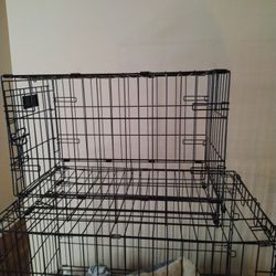 Small Dog Creat