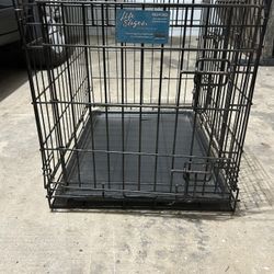 Dog Kennel