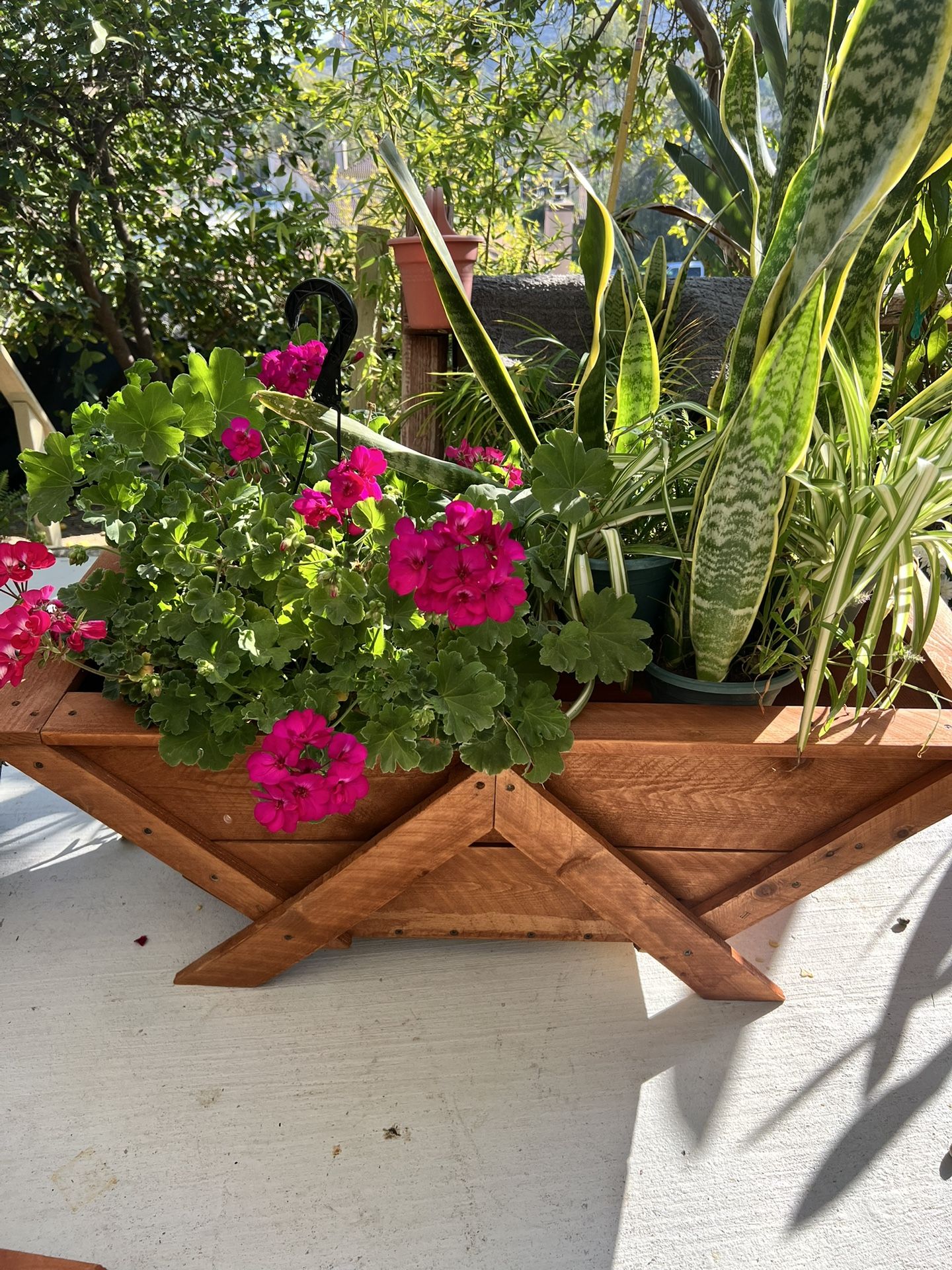 Large Wooden Planter With Plants