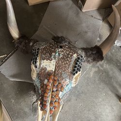 Unique Artisanal Decorative Cattle Head Skull