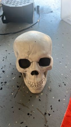 Halloween skull