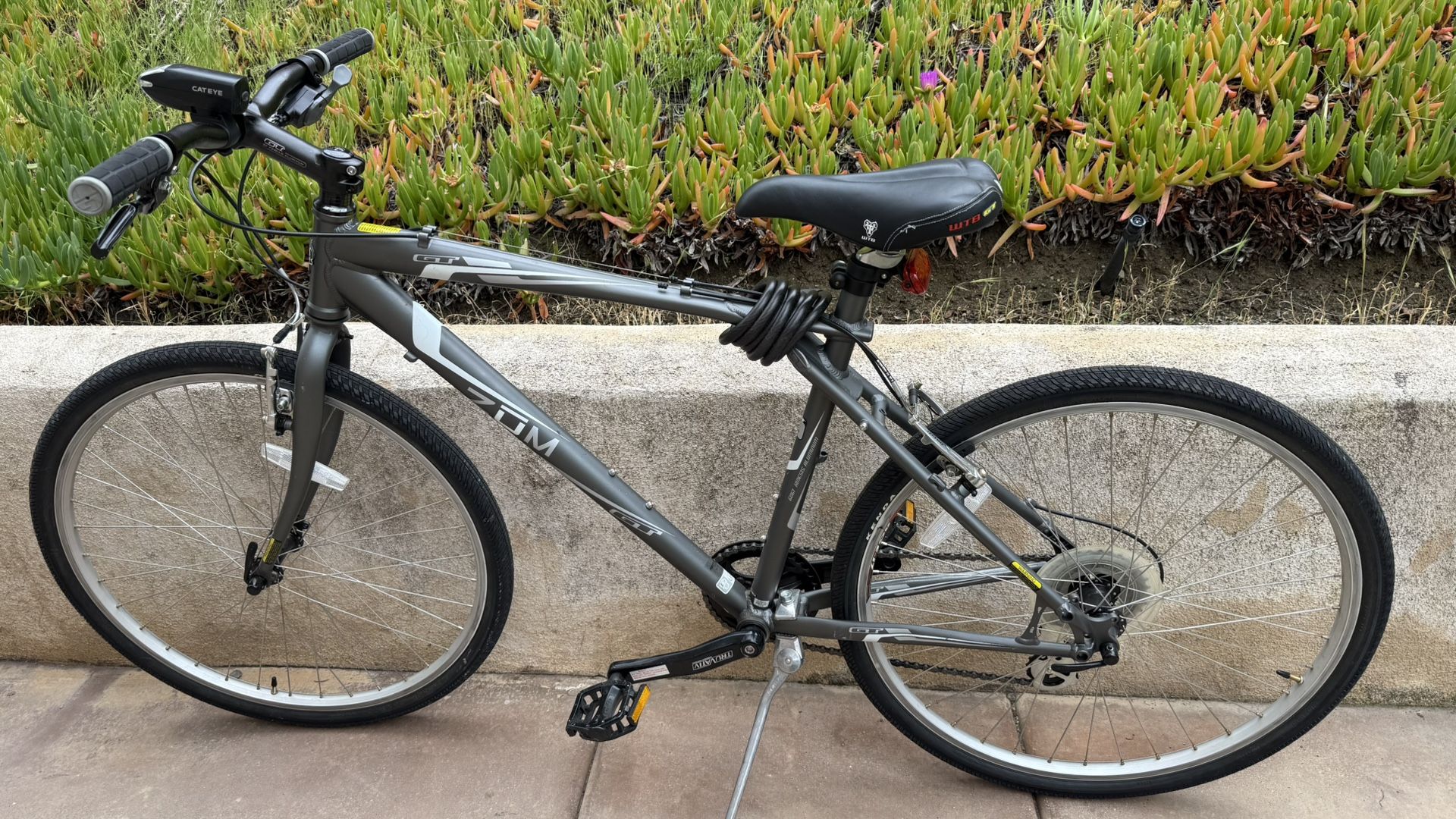 GT ZŪM Bike