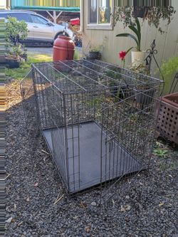Dog kennel