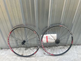 Bike Rims