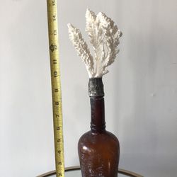 Antique Bottle With Coral 