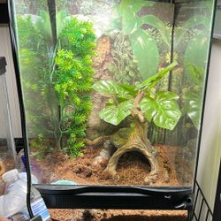 Reptile  Tank