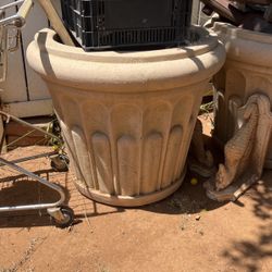 Large Plant pots 