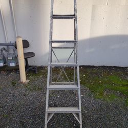 6' ladder $20