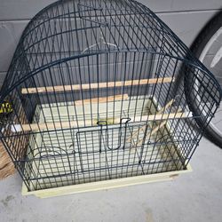 Bird Cage