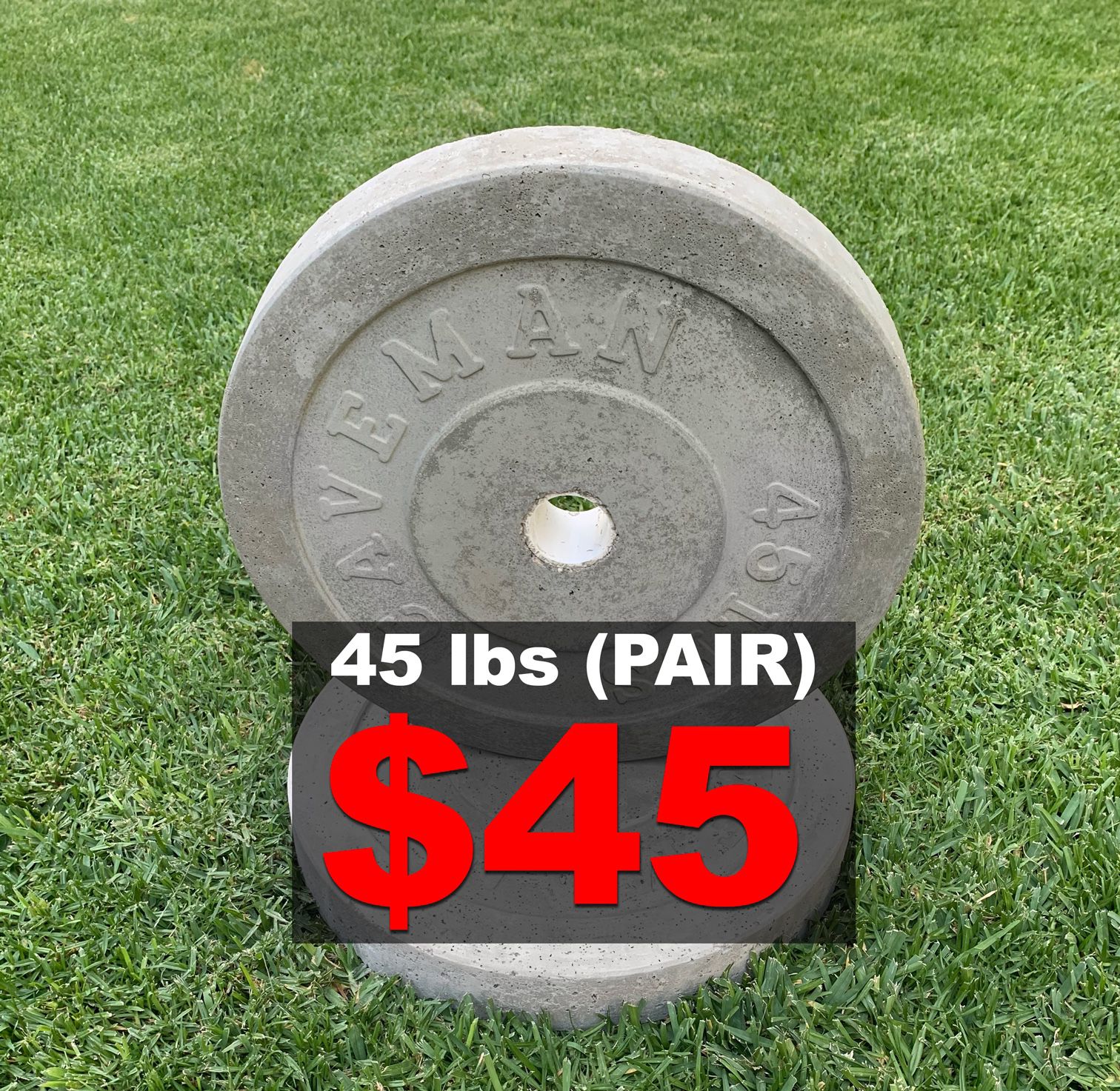 45 lb olympic plate (pair)