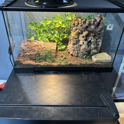 15 Gallon Snake Tank With Snake And All Accessories 