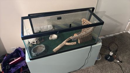 Reptile tank