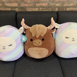 Squishmallows 16”