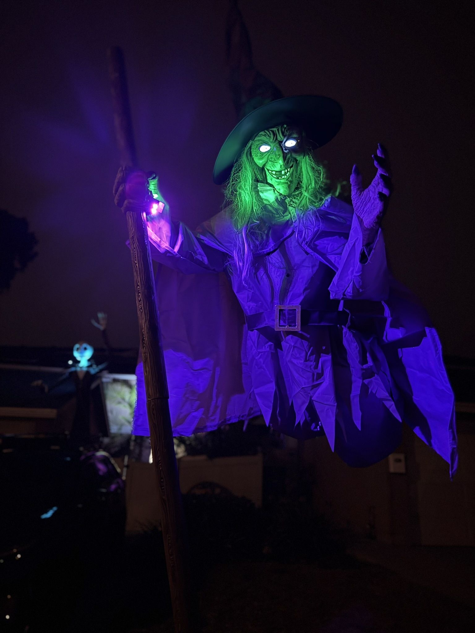12 Foot Animated Witch by Home Depot - Home Accents