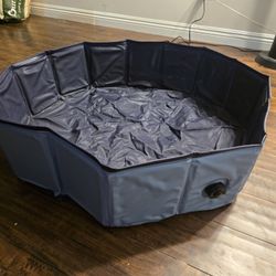 Dog Kiddie Pool