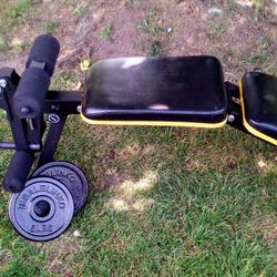 Weight Bench  w/  Two 5lb Weight Plates 