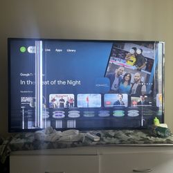 CRACKED 55 INCH TV SCREEN