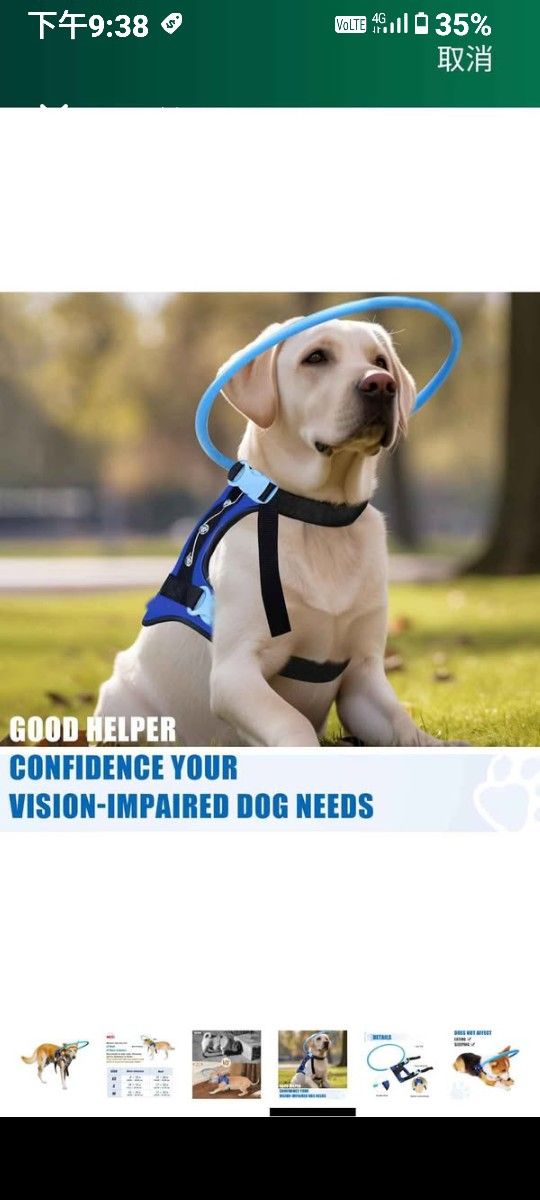 Blind Dog Halo Harness, Protective Halo Dog Collar for Blind Dogs, Confidence Building Harness Guiding Device, Blind Dog Accessories, M