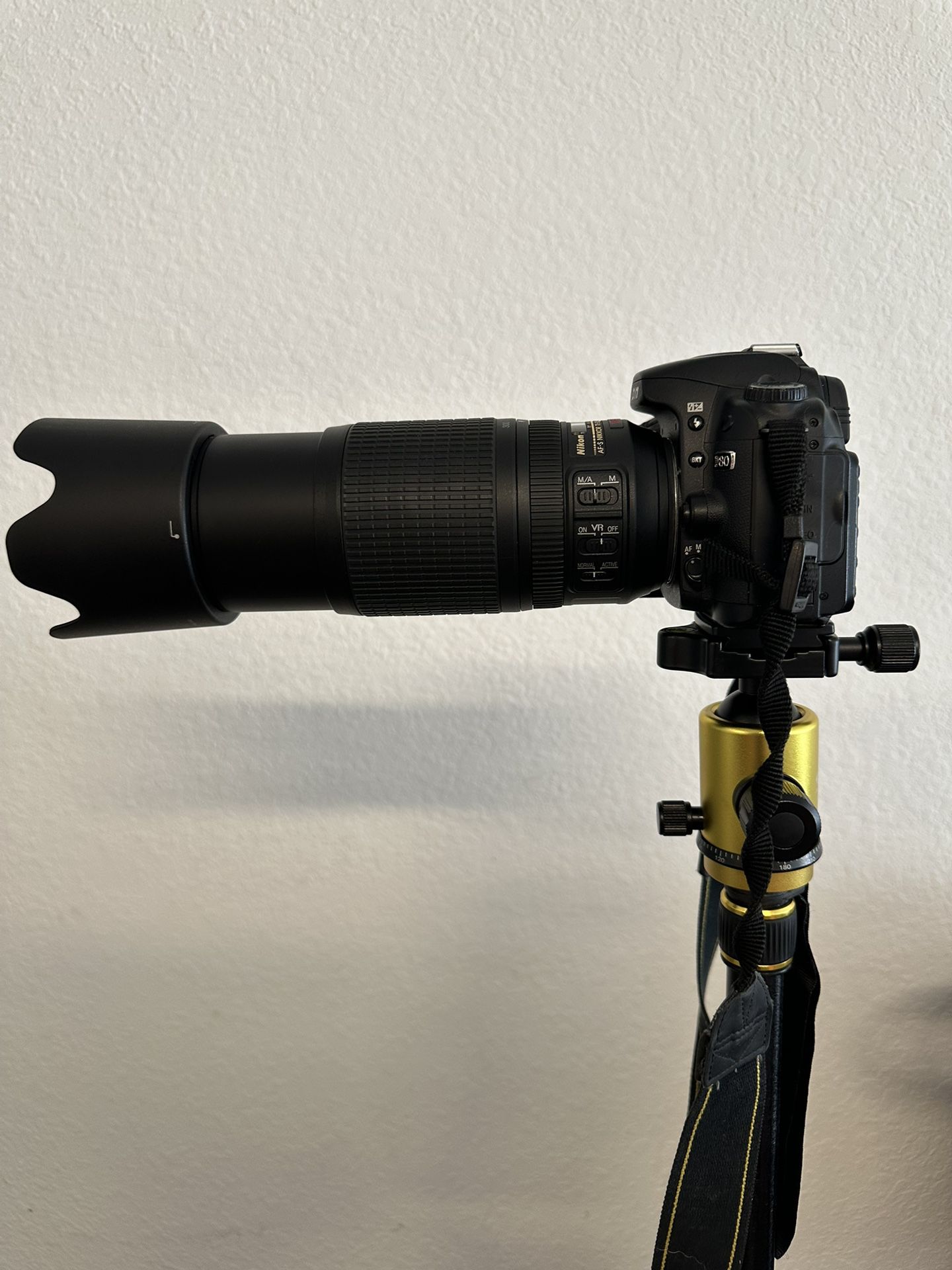 Nikon D80 photography Camera