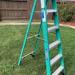 Werner 6 Ft Ladder 