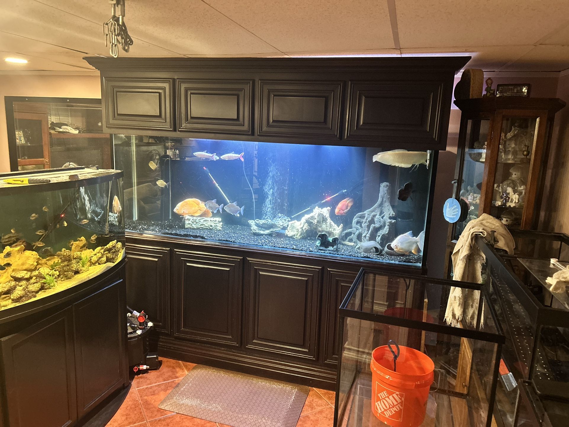 265 Gal 7 Ft Fish Tank