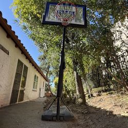 Free Basket Ball Hoop