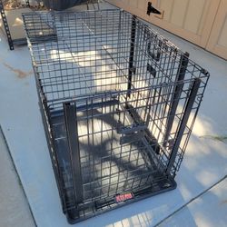Kong Dog Kennel