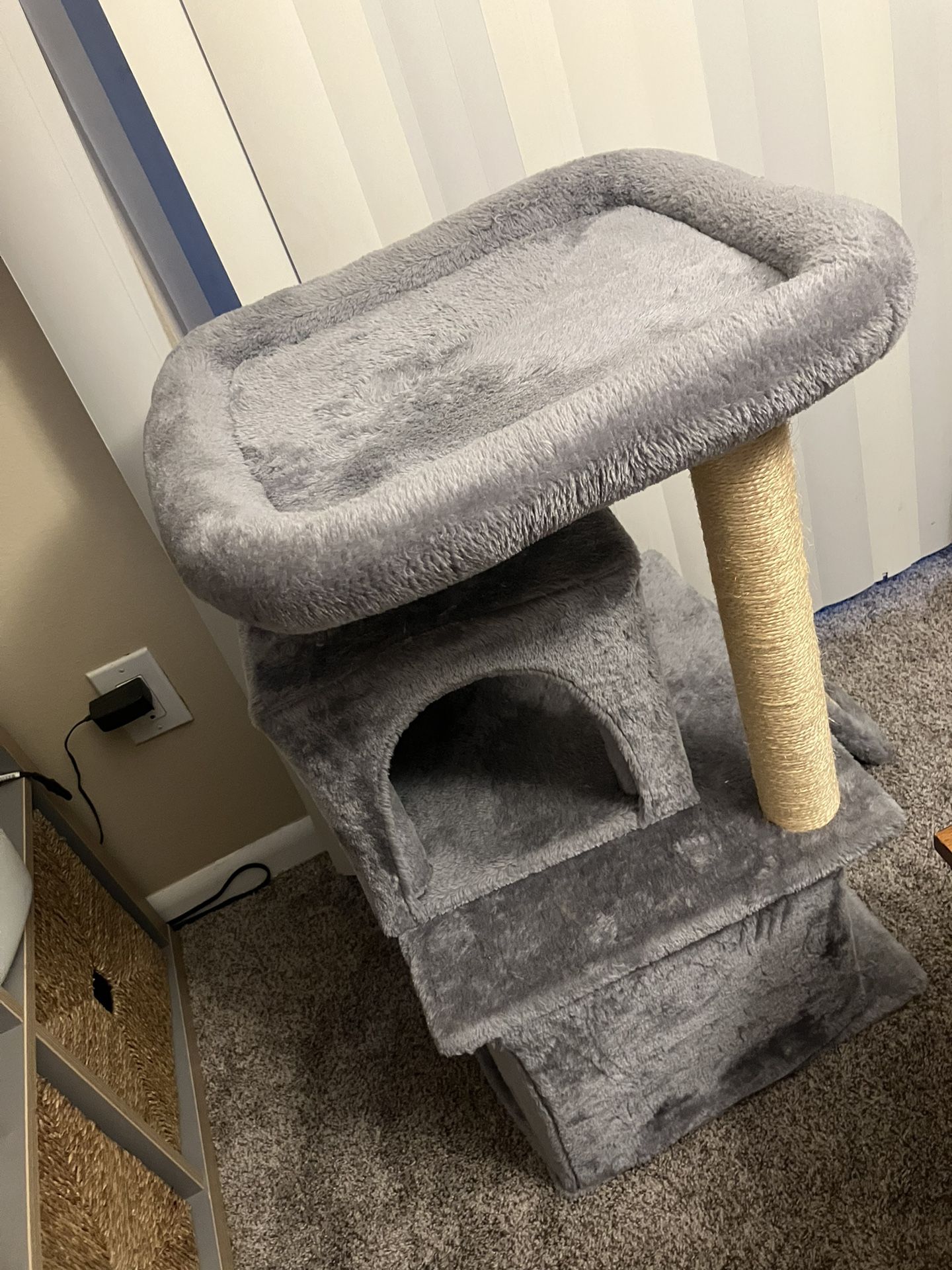 house for cats