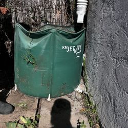 Free Rain Water Barrel