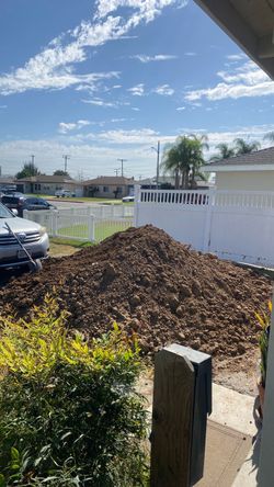Free Clean Dirt (PicoRivera)