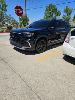Wrap.  /// TINTING ****